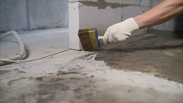 SJ Waterproofing Pros Emergency Waterproofing coverage map for Ceresco, MI and surrounding area